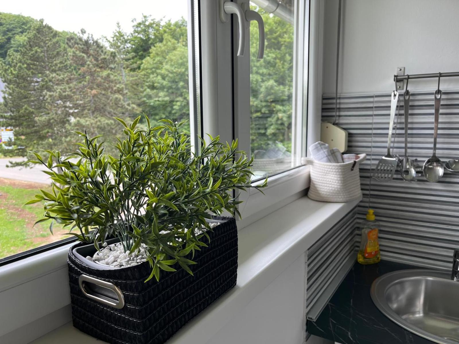 Plitvička Jezera Eva Luxury Rooms & Apartments מראה חיצוני תמונה